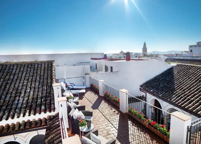 Apartamentos Casa Del Aceite